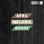 Sample Tools by Cr2 - Afro Melodic House